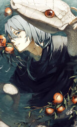 1boy absurdres air_(ai_r_) blue_eyes blue_hair branch food fruit hair_ornament hair_scrunchie heterochromia highres jujutsu_kaisen leaf long_hair low-tied_long_hair mahito_(jujutsu_kaisen) male_focus partially_submerged pomegranate red_eyes scrunchie snake solo stitched_face stitched_neck stitches upper_body water white_scales white_snake yellow_eyes