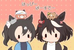 2girls animal animal_ears animal_on_head animalization black_hair black_jacket blue_jacket blue_shirt blush_stickers brown_background cat cheval_grand_(umamusume) chibi ears_through_headwear gomashio_(goma_feet) gradient_background hat horse_ears horse_girl horse_tail jacket kitasan_black_(umamusume) multicolored_hair multiple_girls on_head open_clothes open_jacket outline peaked_cap pink_background polka_dot polka_dot_background red_panda satono_crown_(umamusume) satono_diamond_(umamusume) shirt side_ponytail streaked_hair tail translation_request two_side_up umamusume upper_body white_hair white_hat white_outline white_shirt |_|