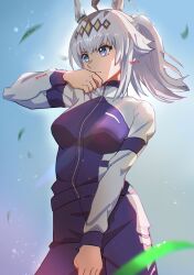 1girl ahoge animal_ears artist_name blue_eyes blue_jacket blue_pants blue_sky blurry closed_mouth commentary cowboy_shot day ear_ornament frown grey_hair hair_ornament highres horse_ears horse_girl jacket kasamatsu_tracen_training_uniform leaf long_hair long_sleeves looking_to_the_side medium_hair oguri_cap_(umamusume) outdoors pants ponytail sky solo track_jacket track_pants umamusume umamusume:_cinderella_gray wind yukinoshin_f