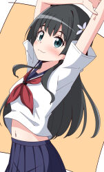 Rule 34 | 1girl, :3, absurdres, aikawa ryou, bare arms, black hair, blue sailor collar, blue skirt, closed mouth, flower, hair flower, hair ornament, highres, long hair, midriff, navel, neckerchief, pleated skirt, red neckerchief, sailor collar, sakugawa school uniform, saten ruiko, school uniform, serafuku, shirt, simple background, skirt, smile, toaru kagaku no railgun, toaru majutsu no index, white shirt