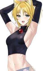 Rule 34 | 1girl, absurdres, animal ears, armpits, blonde hair, blue eyes, blush, dog days, dog ears, dog girl, highres, pol winner, yukikaze panettone