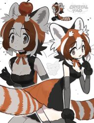 1girl black_dress black_gloves brown_eyes commentary dress elbow_gloves flying_sweatdrops gloves grey_thighhighs highres index_finger_raised looking_at_viewer multiple_views orange_dress orange_hair original red_panda_ears red_panda_girl red_panda_tail short_hair simple_background symbol-only_commentary taonoinu thighhighs whiskers white_background