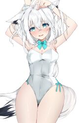 1girl ahoge alternate_costume animal_ear_fluff animal_ears aqua_bow aqua_bowtie aqua_eyes arms_up bare_shoulders blush bow bowtie braid breasts crossed_bangs detached_collar fox_ears fox_girl fox_tail hair_between_eyes highres hololive leotard long_hair looking_at_viewer nervous_smile open_mouth playboy_bunny ponytail ria_mazibou shirakami_fubuki side_braid simple_background single_braid smile solo strapless strapless_leotard tail virtual_youtuber white_background white_hair white_leotard wrist_cuffs