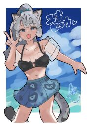 1girl adapted_costume alternate_costume animal_print bare_shoulders bikini bikini_skirt black_bikini blue_bow blue_eyes blue_sky blush bow grey_hair hair_bow high_ponytail inflatable_armbands kemono_friends leopard_print long_hair midriff multicolored_hair navel open_mouth pleated_skirt ponytail pppg_gg print_skirt skirt sky sleeveless smile snow_leopard_(kemono_friends) snow_leopard_ears snow_leopard_girl snow_leopard_tail solo spaghetti_strap sweatdrop swimsuit v white_hair