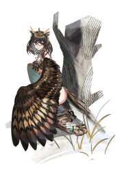 1girl arknights ass bird_legs bird_tail breasts brown_hair brown_wings commentary feather_hair feathered_wings glasses harpy highres long_hair looking_at_viewer monster_girl monsterification nude orange_eyes owl_ears owl_girl semi-rimless_eyewear silence_(arknights) simple_background small_breasts solo tail talons under-rim_eyewear underboob white_background winged_arms wings yuec