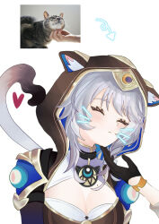 2girls absurdres animal_ear_fluff animal_ears animal_hood black_gloves breasts cat cat_ears cat_hood cat_tail chin_rub cipher_(honkai:_star_rail) cleavage closed_eyes commentary_request face_filter gloves grey_hair heart highres honkai:_star_rail honkai_(series) hood large_breasts mole mole_on_breast multiple_girls oekakidekinai1 reference_inset short_hair_with_long_locks simple_background stelle_(honkai:_star_rail) tail trailblazer_(honkai:_star_rail) upper_body white_background