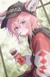 1girl absurdres animal_ears arknights blue_eyes food fox_ears hat highres holding jacket looking_at_viewer official_alternate_costume pink_hair pocky pulmo_(artist) solo sussurro_(arknights) sussurro_(travel_freely)_(arknights)