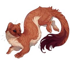 Rule 34 | animal, animal ear fluff, animal focus, brown eyes, brown fur, fluffy, full body, giulialibard, highres, no humans, original, realistic, signature, simple background, solo, weasel, whiskers, white background