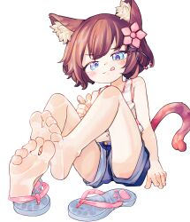 Rule 34 | 1girl, :3, :q, animal ears, barefoot, blue eyes, blue shorts, brown hair, cat ears, cat girl, cat tail, chaosexceed, closed mouth, commentary, english commentary, feet, flip-flops, full body, hair ornament, highres, original, paid reward available, sandals, short hair, short shorts, shorts, simple background, soles, solo, tail, tank top, toes, tongue, tongue out, unworn sandals, white background, white tank top
