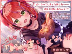 1girl :d akane_canna animal_collar animal_ear_headphones animal_ears antenna_hair bag baguette black_shirt black_shorts blush bone_necklace botamochi_(botabutasan) bread collar commentary_request fake_animal_ears fang food green_eyes headphones highres looking_at_viewer melon_bread multicolored_hair nanashi_inc. official_art open_mouth paper_bag pretzel purple_hair red_hair shirt shopping_bag short_hair shorts skin_fang smile solo streaked_hair t-shirt translation_request two-tone_hair virtual_youtuber