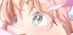 Rule 34 | 1girl, aqua eyes, commentary request, eye focus, eyes visible through hair, falling petals, highres, hinoshita kaho, link! like! love live!, looking up, love live!, open mouth, orange hair, petal on nose, petals, pink petals, solo, sunkeun, virtual youtuber