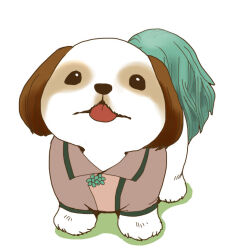 Rule 34 | animal, animal focus, animalization, brown shirt, clothed animal, commentary request, dog, full body, kasodani kyouko, kasodani kyouko (yamabiko), no humans, onikobe rin, shirt, simple background, tongue, tongue out, touhou, white background