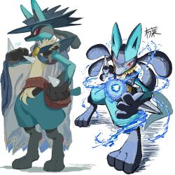 animal_ears aura aura_sphere_(pokemon) cloak energy energy_ball full_body furry gen_4_pokemon hat highres incoming_attack looking_at_viewer lucario lucario_(costume_party) multiple_views narumi_hyou nintendo pokemon pokemon_(creature) pokemon_move pokemon_unite red_eyes signature solo standing white_background