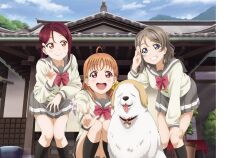 3girls ahoge artbook blue_eyes bow braid clover_hair_ornament day dog grey_hair grin hair_ornament hairclip highres kneehighs long_hair long_sleeves looking_at_viewer love_live! love_live!_sunshine!! multiple_girls non-web_source official_art open_mouth orange_hair outdoors pleated_skirt red_bow red_eyes red_hair sakurauchi_riko salute school_uniform serafuku short_hair skirt sky smile socks squatting takami_chika uranohoshi_school_uniform v watanabe_you winter_uniform yellow_eyes