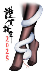 1girl absurdres brown_pantyhose crossed_ankles feet feet_only foot_focus happy_new_year highres mato_kuroi new_year no_shoes original pantyhose simple_background snake solo tiptoes toenails toes white_background white_snake