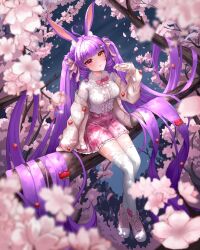 1girl absurdly_long_hair absurdres ahoge animal_ears blunt_bangs bow bowtie branch breasts cherry_blossoms eating full_body hair_tie heart heart_ahoge heterochromia highres indie_virtual_youtuber jacket long_hair looking_at_viewer maddie_(vtuber) majimejim medium_breasts night on_tree open_clothes open_jacket outdoors pink_bow pink_bowtie pink_shoes pink_skirt purple_hair quad_tails rabbit_ears rabbit_girl red_eyes ribbon ringlets shirt shoelaces shoes skirt sneakers socks thighhighs tree twintails very_long_hair virtual_youtuber white_shirt white_socks yellow_eyes