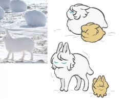 animal_focus animalization blonde_hair blue_eyes closed_eyes faust_(project_moon) highres limbus_company no_humans ohzv photo-referenced project_moon rabbit reference_inset short_hair simple_background sinclair_(project_moon) white_background white_hair yellow_eyes