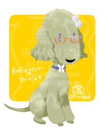 Rule 34 | air messiah (umamusume), animal focus, animalization, bedlington terrier, commentary request, dog, full body, glasses, no humans, onikobe rin, orange-framed eyewear, umamusume, watermark