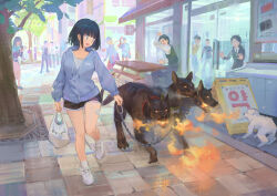 1girl :d absurdres bag black_hair black_shorts blue_eyes blue_jacket bob_cut breath_weapon breathing_fire cerberus commentary_request ddal dog fire gauze highres holding holding_bag jacket korean_commentary looking_at_animal open_mouth original outdoors partially_open_jacket people shirt shoes short_shorts shorts smile sneakers socks solo surprised tree walking white_bag white_shirt white_shoes white_sneakers white_socks