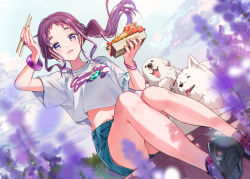 1girl bento blue_eyes bracelet chopsticks cloud cloudy_sky dog dutch_angle flower food from_below jewelry legs looking_at_viewer medium_hair navel purple_hair ring shirt short_shorts shorts sitting sky solo t-shirt tiv white_shirt
