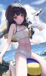 1girl absurdres ahoge ball beach beachball bikini bikini_pull bird black_hair blue_archive blue_sky braid breasts clothes_pull cloud cloudy_sky commentary_request covered_erect_nipples day hat_on_back highres kneeling long_hair looking_at_animal low_twintails miyu_(blue_archive) miyu_(swimsuit)_(blue_archive) ocean official_alternate_costume open_mouth outdoors red_eyes rock seagull see-through_bikini see-through_clothes sky small_breasts sokiu_(dongxiasokiu) solo swimsuit twin_braids twintails white_bikini