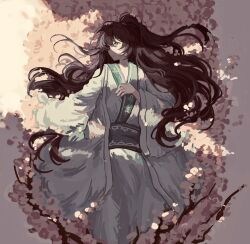 1boy black_eyes black_hair blue_eyes chinese_clothes flower flower_bed grey_background grey_sash hanfu heterochromia high_ponytail highres hong_lu_(project_moon) limbus_company llllao216913 long_hair long_sleeves lying male_focus on_back pink_flower ponytail project_moon simple_background solo upper_body very_long_hair white_hanfu