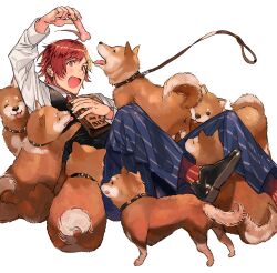 1boy absurdres ahoge animal_collar black_shoes black_vest blue_pants collar commentary_request dog fang fingernails highres idolmaster idolmaster_side-m looking_at_animal lying male_focus nana_tetra necktie on_back open_mouth pants pet_food puppy red_eyes red_hair red_necktie red_socks shiba_inu shirt shoes short_hair simple_background socks solo striped_clothes striped_pants tendo_teru vertical-striped_clothes vertical-striped_pants vest white_background white_shirt