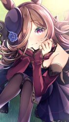 1girl absurdres animal_ears armpit_crease bare_shoulders black_thighhighs blue_dress blue_flower blue_hat blue_rose blush bowler_hat breasts bright_pupils brown_hair close-up closed_mouth collarbone commentary curled_fingers detached_sleeves dress flipped_bangs flipped_hair flipped_sidelocks flower hair_flower hair_ornament hair_over_one_eye hands_on_own_chin hat head_rest head_tilt highres horse_ears horse_girl knees_together_feet_apart long_bangs long_hair long_skirt looking_at_viewer mixed-language_commentary on_grass outdoors pantyhose parted_bangs purple_eyes purple_sleeves rice_shower_(umamusume) rose sidelocks sitting skirt sleeves_past_wrists small_breasts smile solo sparkling_eyes sunlight thighhighs tilted_headwear umamusume very_long_hair white_pupils yu-muge