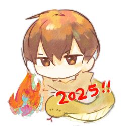 Rule 34 | 1boy, 2025, brown eyes, brown hair, chinese commentary, chinese zodiac, closed mouth, commentary request, deformed, double-parted bangs, fire, grey shirt, jabuchi you, male focus, oobbzz23887, saibou shinkyoku, shirt, simple background, snake, solo, v-shaped eyebrows, white background, year of the snake