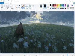 Rule 34 | 1other, art program in frame, blue flower, christian young, cloud, cloudy sky, commentary, day, flower, from behind, grey cloak, hood, hood up, landscape, meadow, microsoft paint (medium), microsoft paint (software), original, outdoors, painterly, scenery, screencap, sky, solo, standing, sun, too many flowers