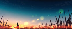 1girl absurdres blurry bokeh cloud commentary_request depth_of_field evening from_behind grass highres horizon lens_flare o-bana original outdoors scenery silhouette sky solo sun sunset tagme