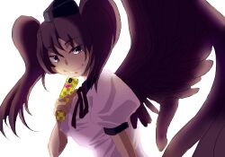 Rule 34 | 1girl, black hat, black ribbon, brown eyes, brown hair, brown wings, cellphone, closed mouth, colorized, commentary request, feathered wings, flip phone, hat, himekaidou hatate, long hair, looking at viewer, lowres, misaki (pixiv1763138), neck ribbon, phone, pink shirt, puffy short sleeves, puffy sleeves, ribbon, shirt, short sleeves, simotukiryuusi, simple background, smile, solo, tokin hat, touhou, twintails, upper body, white background, wings
