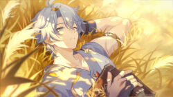 Rule 34 | 1boy, absurdres, antenna hair, arm belt, arm up, bad link, belt, black belt, black gloves, blue eyes, book, dappled sunlight, fingerless gloves, game cg, gloves, grey shirt, highres, holding, holding book, honkai: star rail, honkai (series), looking ahead, looking up, lying, male focus, official art, on back, one eye closed, parted lips, phainon (a dream scented in wheat) (honkai: star rail), phainon (honkai: star rail), shirt, short hair, short sleeves, solo, sunlight, wheat, wheat field, white hair