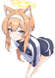 1girl absurdres animal_ear_fluff animal_ears ass awnw bare_legs barefoot blue_archive blue_eyes blush flower gym_shorts gym_uniform hair_flower hair_ornament hairband halo hands_on_own_knees highres jacket leaning_forward long_hair long_sleeves looking_at_viewer mari_(blue_archive) mari_(track)_(blue_archive) multicolored_jacket official_alternate_costume open_mouth orange_hair shirt shorts simple_background smile solo sweat track_jacket two-tone_jacket white_flower white_hairband yellow_halo