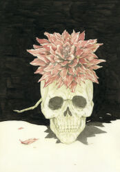 Rule 34 | absurdres, commentary, english commentary, flower, highres, incredibly absurdres, no humans, original, painting (medium), petals, shadow, sho-u tajima, skull, still life, traditional media, watercolor (medium)