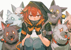 Rule 34 | 1girl, absurdres, animal collar, animal ears, animalization, arknights, black gloves, black hoodie, blue pants, character request, chinese commentary, collar, commentary request, crownslayer (arknights), dopperu ben, frostnova (arknights), gloves, highres, hood, hood up, hoodie, hyena ears, looking at viewer, mask, material growth, mouth mask, orange gloves, oripathy lesion (arknights), pants, patriot (arknights), red hair, shirt, short hair, simple background, solo, squatting, talulah (arknights), two-sided gloves, white background, white shirt, wolf