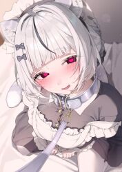 1girl animal_ear_fluff animal_ears apron black_bow black_dress black_eyes black_hair blunt_bangs blush bow breasts button_gap cleavage collar dress fang frilled_apron frills from_above heart heart-shaped_pupils highres indie_virtual_youtuber leash looking_at_viewer medium_breasts mole mole_under_eye multicolored_hair nen_0405 off_shoulder open_mouth pantyhose sofia_blanche solo streaked_hair symbol-shaped_pupils tail virtual_youtuber white_pantyhose