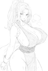 1girl breasts fatal_fury huge_breasts long_hair shiranui_mai