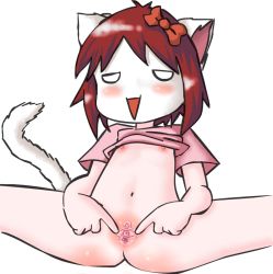1girl 4chan animal_ears blush cat_ears cat_tail female_focus gkg half-closed_eyes loli moot navel nipples open_mouth pink_shirt pussy shirt solo spread_pussy t-shirt tail triangle_mouth