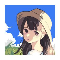 1girl aegyo_sal asleep_onthebed blue_sky blunt_bangs border brown_eyes brown_hair cloud cloudy_sky field grass hat long_hair looking_at_viewer looking_back open_mouth original outdoors pixel_art portrait shirt sky solo sun_hat sunlight upper_body white_border white_shirt