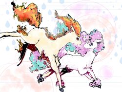 blue_eyes brown_eyes bwmtk1110 commentary eye_contact fire galarian_form galarian_ponyta gen_1_pokemon gen_8_pokemon hashtag-only_commentary highres horns horse looking_at_another nintendo no_humans pokemon pokemon_(creature) pokemon_focus ponyta regional_and_normal single_horn water_drop