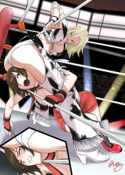 Rule 34 | 2girls, ass, catfight, dixie clemets, hanabusa (xztr3448), highres, hinomoto reiko, hip attack, multiple girls, rumble roses, tagme, wrestling, wrestling ring
