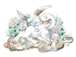 Rule 34 | absol, animal focus, claws, closed mouth, daisy (flower), dot mouth, flower, full body, gen 3 pokemon, nintendo, no humans, non (kumakawayusu), painting (medium), pokemon, pokemon (creature), red eyes, rock, signature, simple background, solo, traditional media, watercolor (medium), white background, white flower