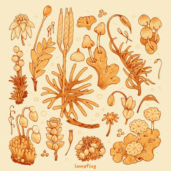 Rule 34 | artist name, commentary, english commentary, leaf, lianne pflug, mushroom, no humans, object focus, original, plant, plant focus, simple background, still life, yellow background, yellow theme