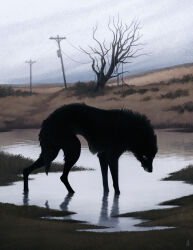 Rule 34 | animal, animal focus, bare tree, black dog, black fur, blank eyes, cloud, cloudy sky, commentary, dappermouth, dim lighting, emaciated, english commentary, field, grass, grey sky, grey theme, highres, hill, horror (theme), morning, muted color, no humans, no pupils, original, outdoors, plant, pond, puddle, realistic, scenery, sky, standing, surreal, tree, utility pole, water, white eyes, wolf