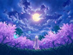 1girl absurdres au_ito blurry blurry_foreground bug cherry_blossoms cloud cloudy_sky commentary_request depth_of_field dress falling_petals field fisheye floating_hair forest from_behind glowing_animal grass highres insect long_hair looking_up moon moth nature night night_sky original outdoors petals scenery sky sky_focus sleeveless sleeveless_dress solo star_(sky) starry_sky straight_hair tree white_dress white_hair wide_shot wind