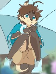1boy ahoge animal_ears blue_eyes blue_hoodie boots brown_shorts closed_mouth commentary_request from_below furry furry_male highres holding holding_umbrella hood hood_down hoodie looking_at_viewer male_focus morenatsu rubber_boots shorts shun_kodori smile squatting tail totoken_030 umbrella wolf_boy wolf_ears wolf_tail