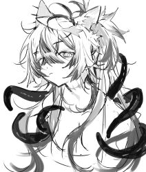 Rule 34 | 1girl, absurdres, animal ear piercing, animal ears, breasts, cleavage, colored tips, fox ears, frown, greyscale, hair over shoulder, head tilt, highres, indie virtual youtuber, looking at viewer, mari the hybrid, messy hair, monochrome, multicolored hair, side ponytail, sidelocks, sketch, solo, spaghetti strap, tentacles, upper body, white eyes, white hair, yoimon
