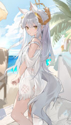1girl absurdres animal_ear_fluff animal_ears arknights bare_shoulders blue_sky blush brown_eyes chair cloud commentary_request day from_side grey_hair hair_between_eyes highres horizon horse_ears horse_girl horse_tail long_hair looking_at_viewer looking_to_the_side ocean outdoors palm_tree parted_lips platinum_(arknights) see-through_clothes sky solo tail teketi tree very_long_hair water