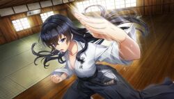 1girl black_hair blue_eyes breasts clenched_hand collarbone dojo dolphin_wave dougi dutch_angle feet_out_of_frame foreshortening from_above game_cg hagane_otsuki hair_between_eyes hakama hakama_pants highres indoors japanese_clothes karate_gi long_hair looking_at_viewer martial_arts motion_blur motion_lines non-web_source official_art ootomo_takuji open_clothes open_shirt pants small_breasts solo standing sweat tatami wooden_floor